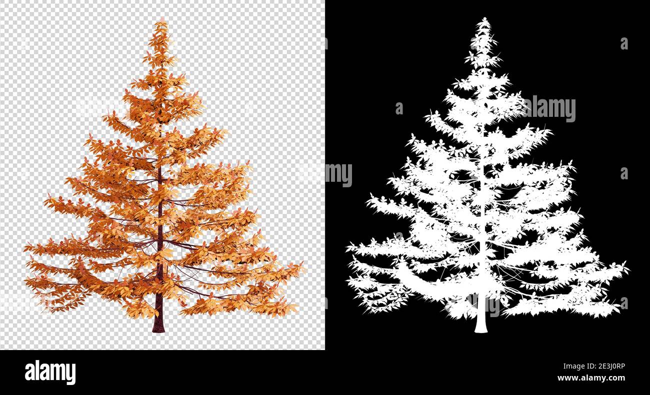 Autumn season tree on transparent background with clippings path, 3D ...
