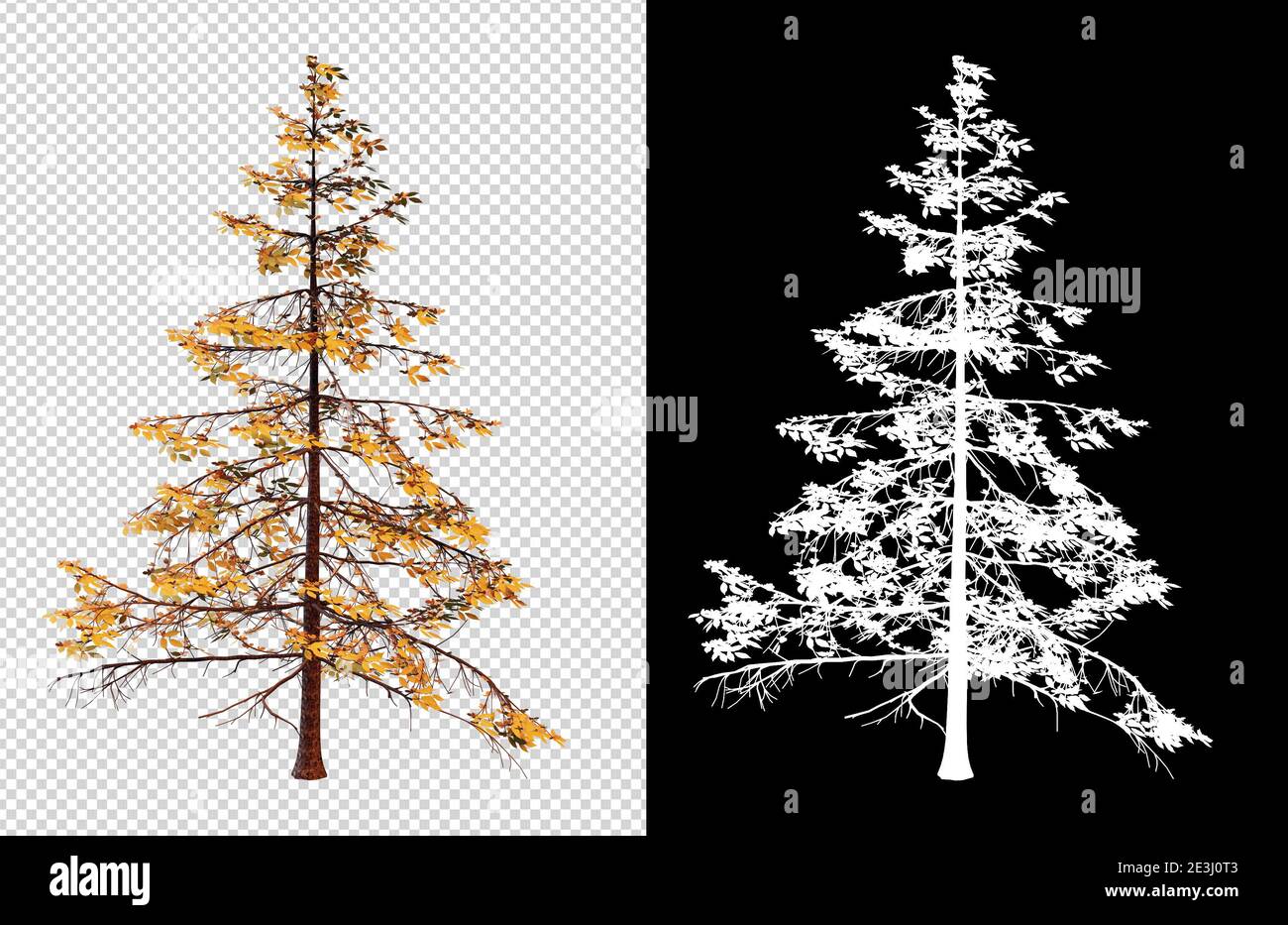 Autumn season tree on transparent background with clippings path, 3D ...
