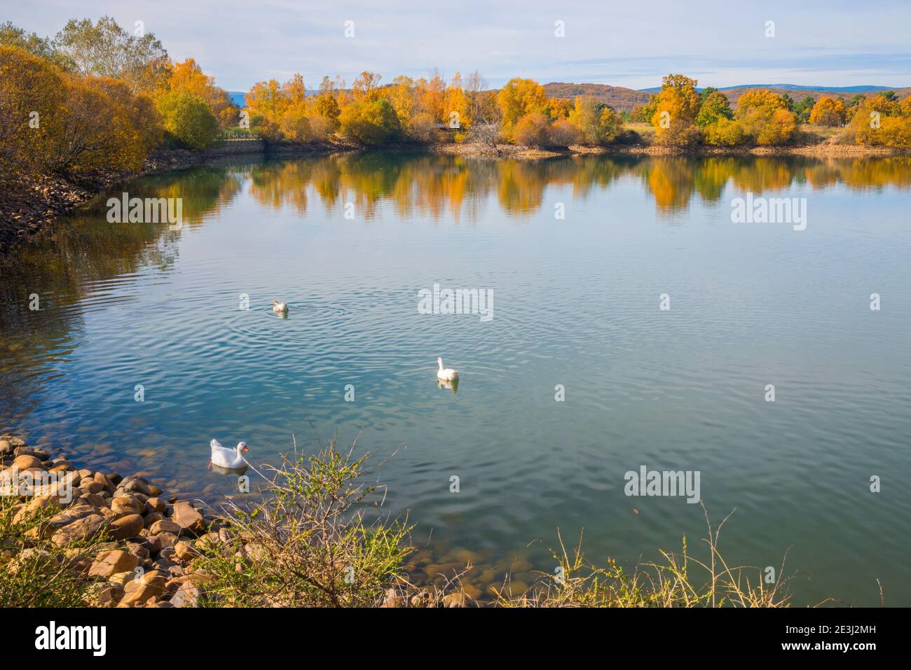 El Salmoral lake. Pradena del Rincon, Madrid province, Spain. Stock Photo