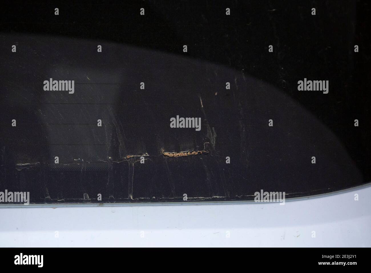 Pollen spread across the back windshield of a white vehicle Stock Photo