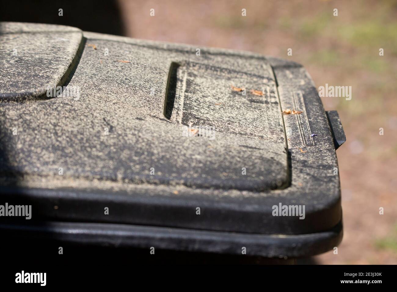 Yellow specs of pollen covering a black garbage can outside Stock Photo