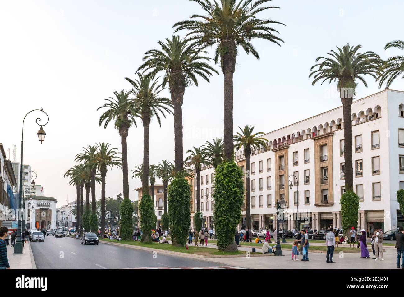 Palm trees lining Avenue Mohammed V in the Ville Nouvelle district of Rabat, Morocco Stock Photo