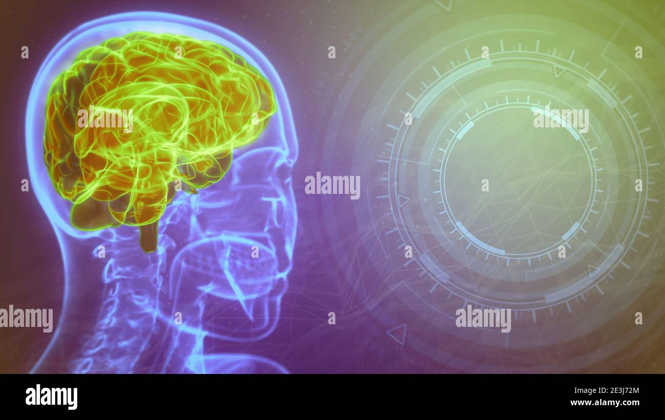 rontgen human head image with highlighted brain and empty space on the ...