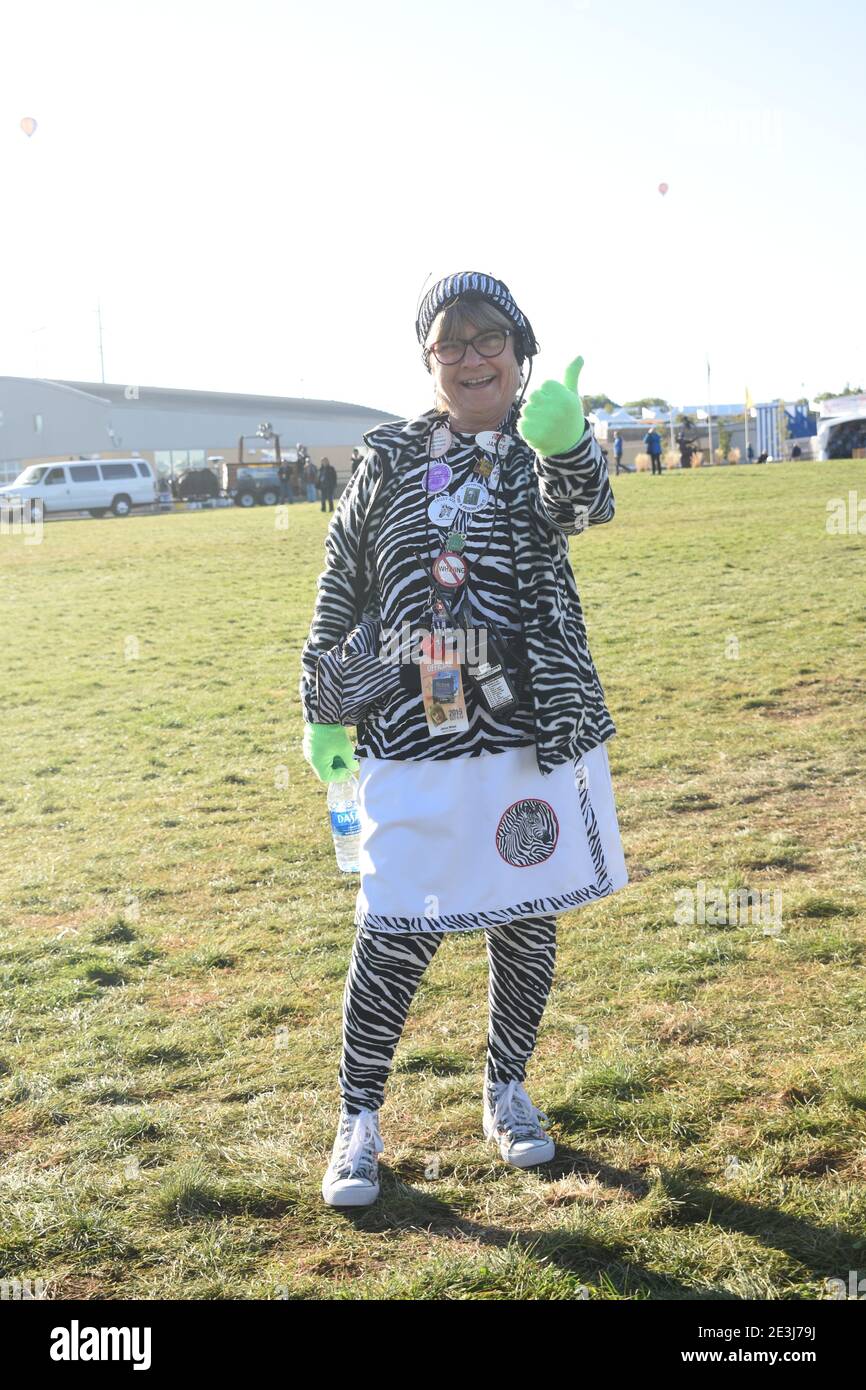 zebra-s-at-the-albuquerque-balloon-fiesta-stock-photo-alamy