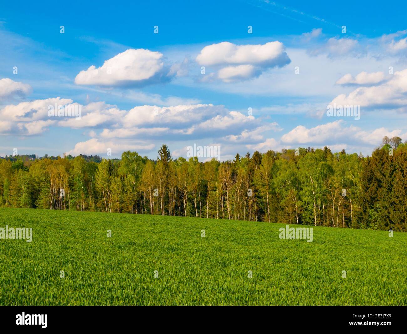 Green grass field and blue summer sky Stock Photo - Alamy