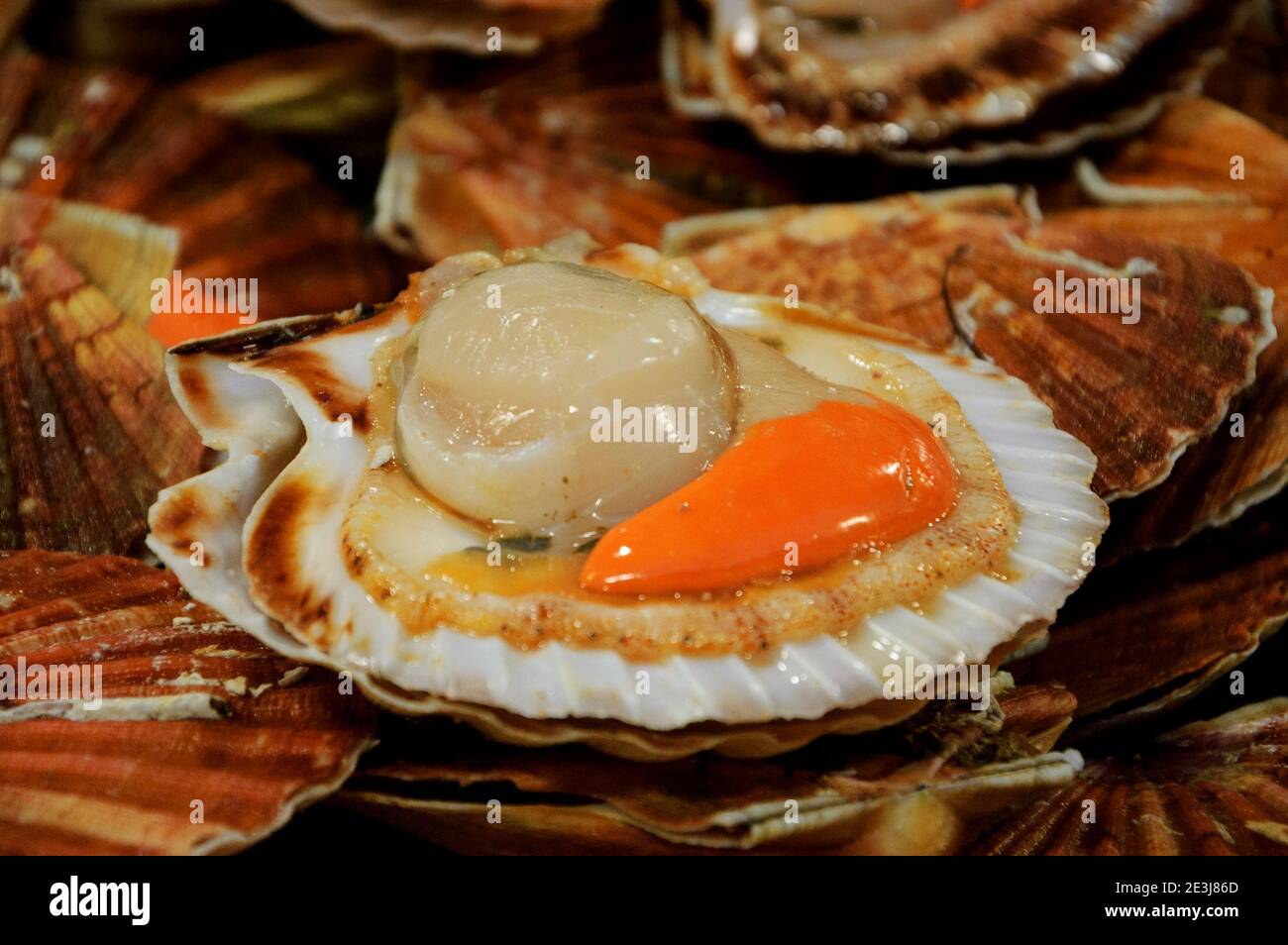 Fresh scallops for sale at Red Children Market ("Marche des Enfants
