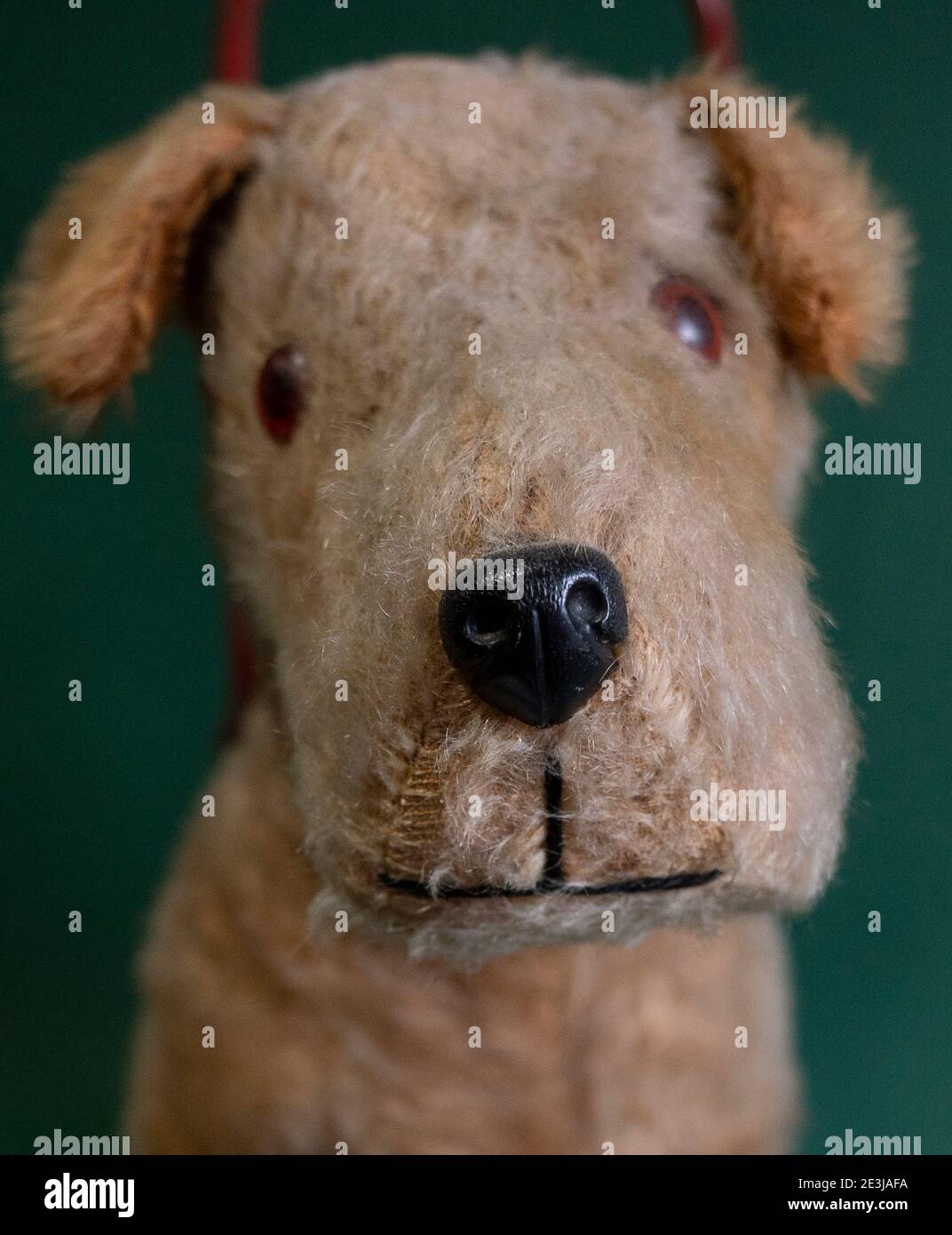 A vintage Irish Terrier Push Along Dog Walker Toy from the 1950s made