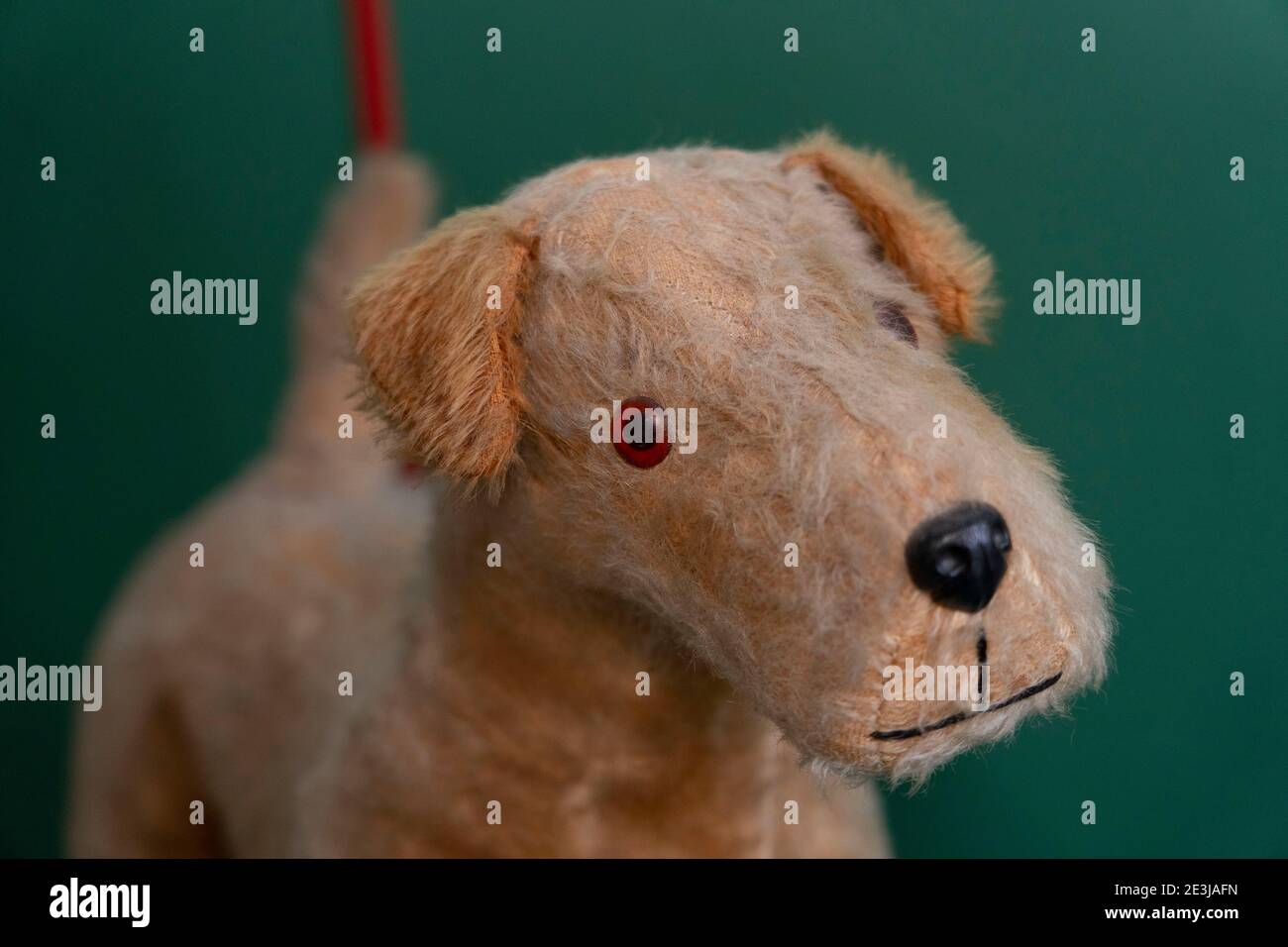 A vintage Irish Terrier Push Along Dog Walker Toy from the 1950s made