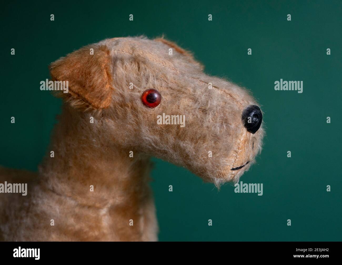 A vintage Irish Terrier Push Along Dog Walker Toy from the 1950s made