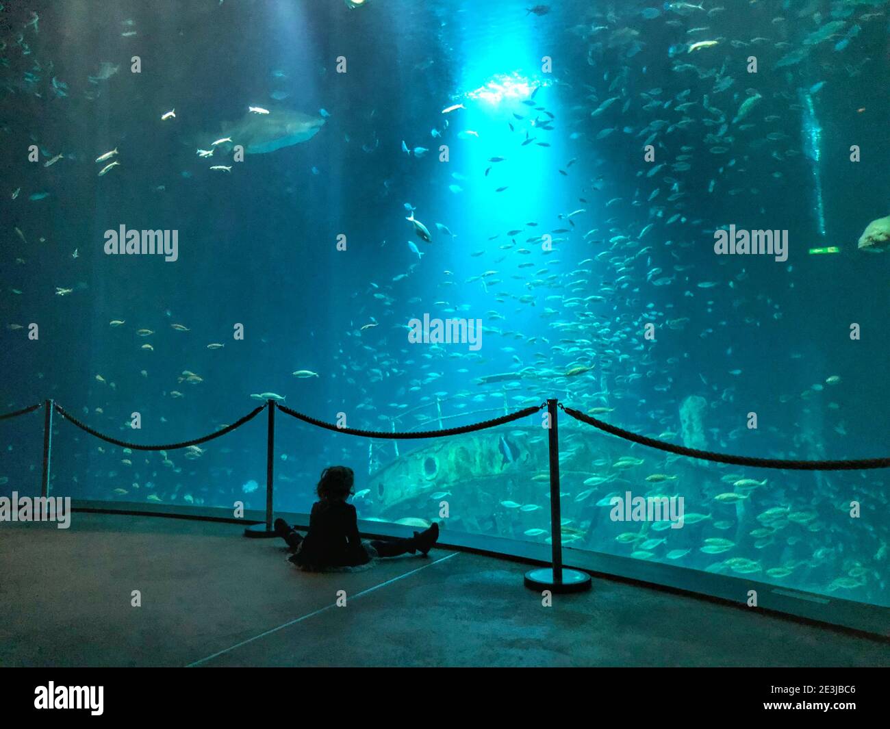 Girl in front of a large aquarium Stock Photo