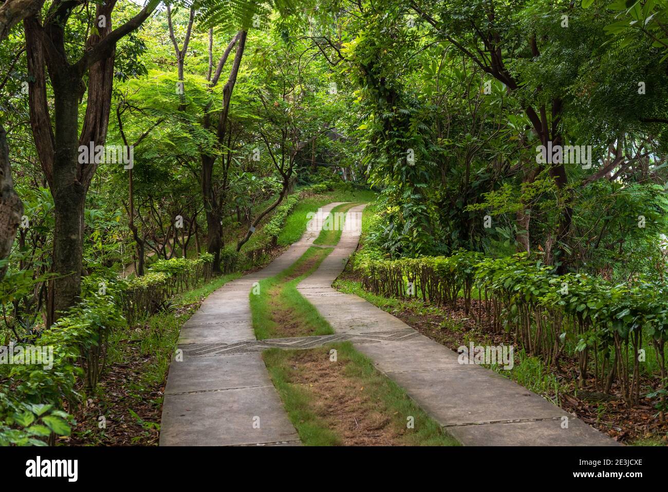 Photo of a winding path through a nature preserve in Guayaquil, Ecuador. Stock Photo