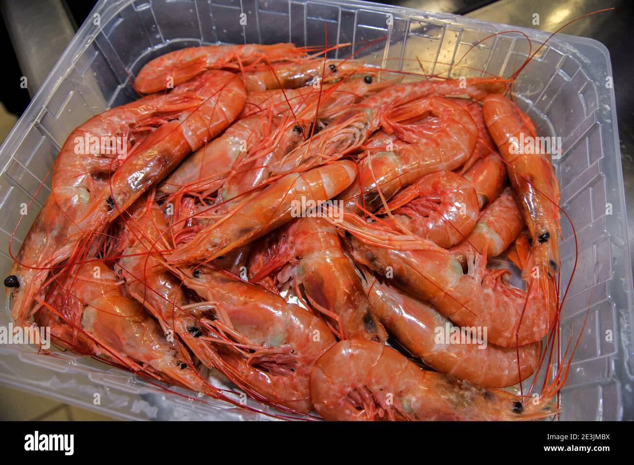 Plastic prawn hi-res stock photography and images - Alamy