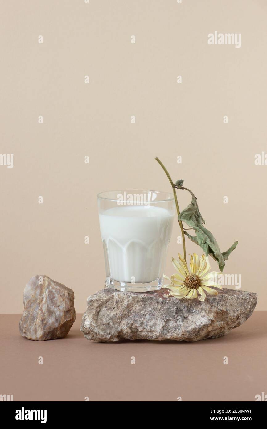 Vegan plant bean or nut milk  from soy or pea or nut, minimalist  composition with natural material stone, a glass with milk, dried sunflower and peas Stock Photo