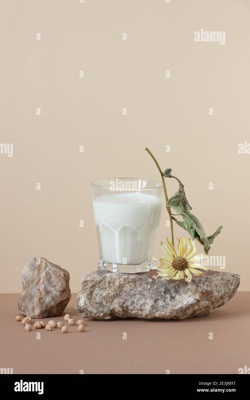 Vegan plant bean milk  from soy or pea, minimalist  composition with natural material stone, a glass with milk, dried sunflower and peas, copy space, Stock Photo