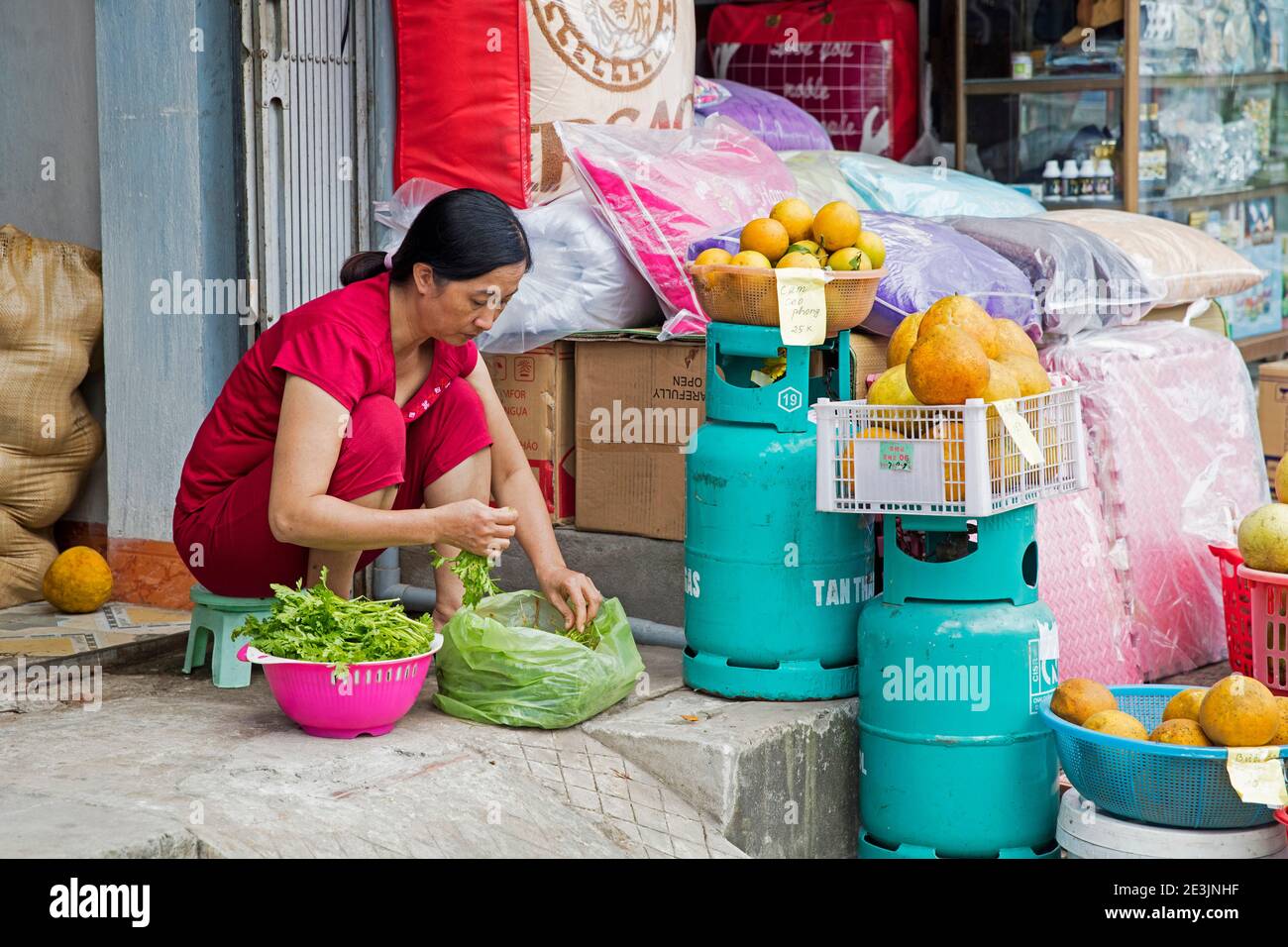 Vietnamese woman selling fruit and vegetables from sidewalk shop in the city Ninh Binh in the Red River Delta of northern Vietnam Stock Photo
