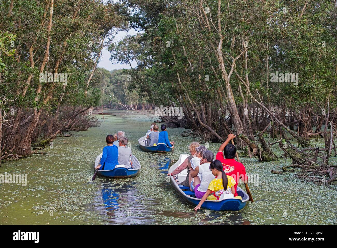 Tourists in small boats looking for wildlife in flooded mangrove in the Tra Su Cajuput Forest, Tinh Bien, An Giang Province, Mekong Delta, Vietnam Stock Photo