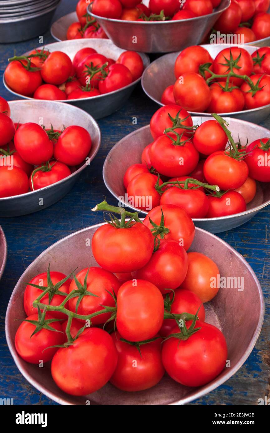 Sweet organic fresh red tomato in grapes straight from farm field for