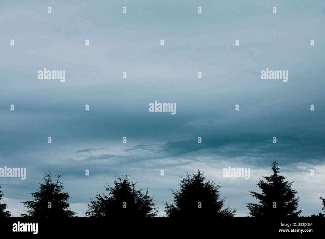Tree top silhouettes stand under unique clouds in a blue sky Stock Photo