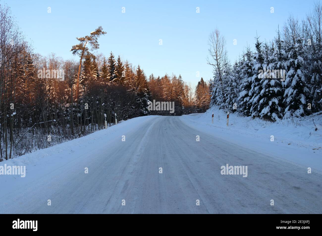 Forest road in winter Stock Photo - Alamy