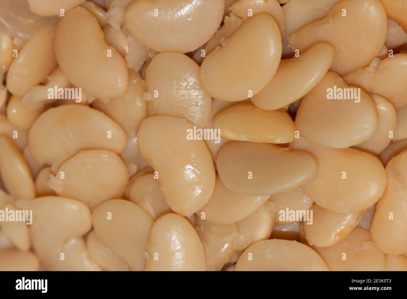 Indian beans hires stock photography and images Alamy