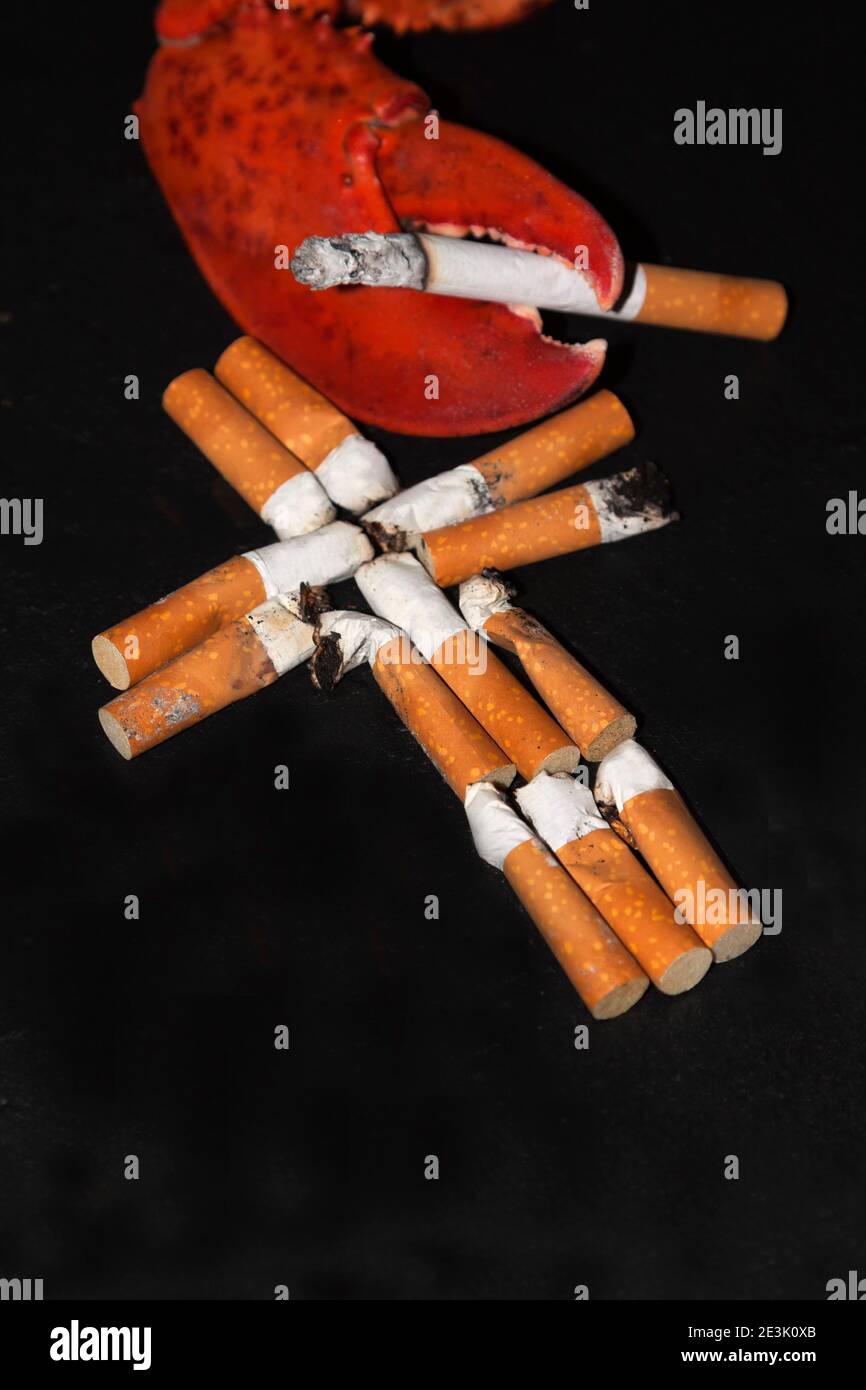 is duty free cigarettes cheaper Bristol Airport Duty Free Tobacco Prices