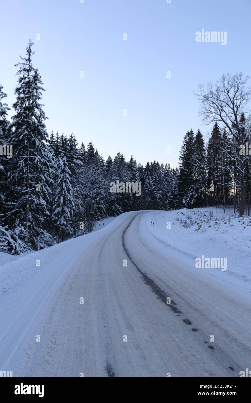 Forest road in winter Stock Photo - Alamy