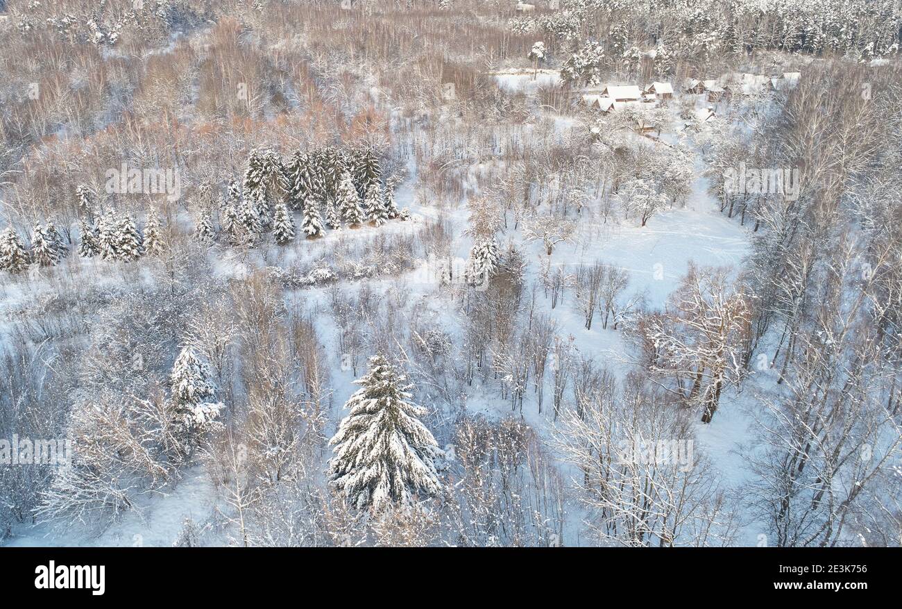 Aerial flight over morning wood hi-res stock photography and images - Alamy
