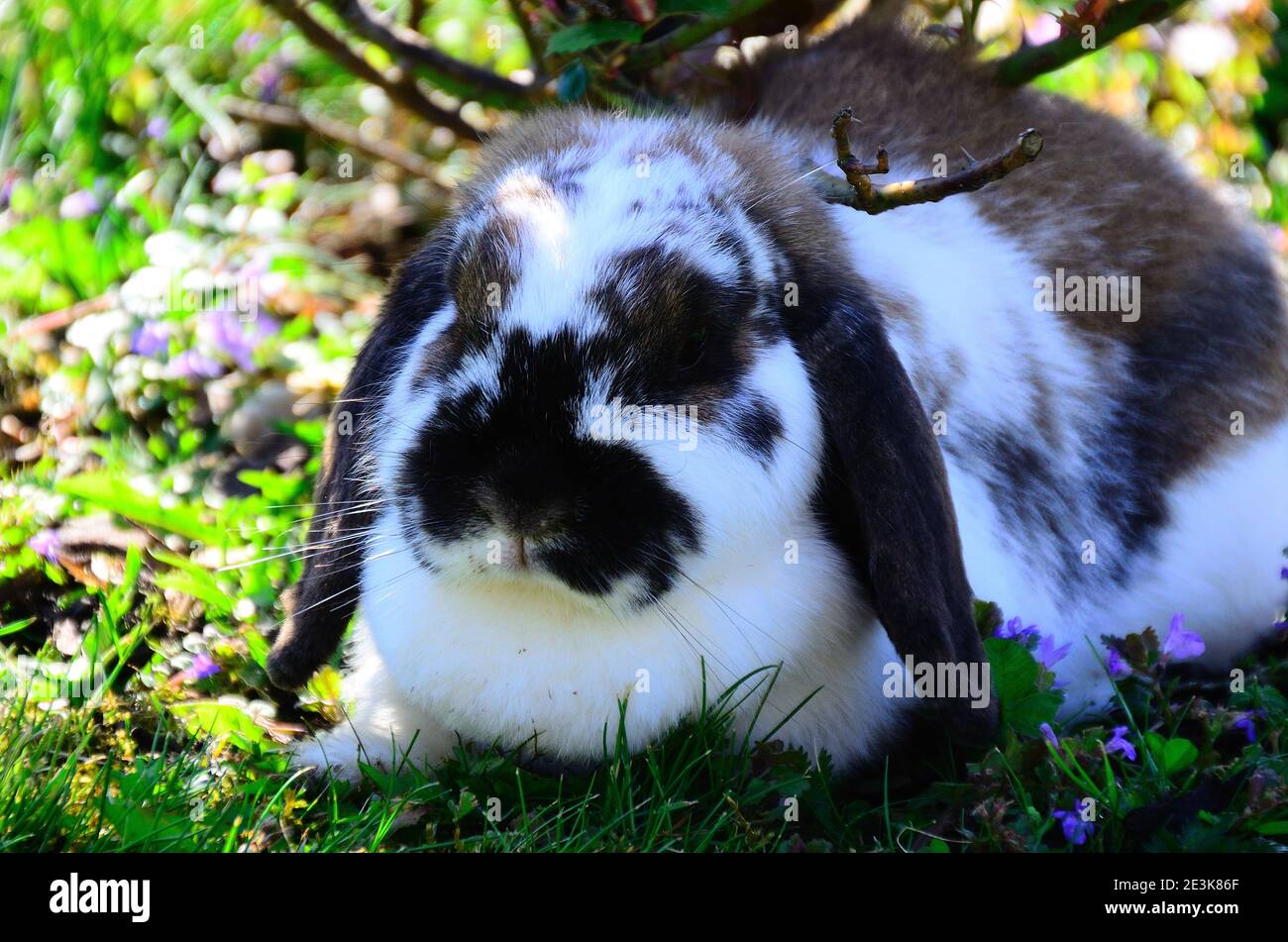 In full view hi-res stock photography and images - Alamy