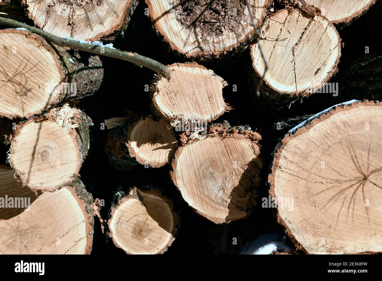 Stacked wood pile hi-res stock photography and images - Alamy