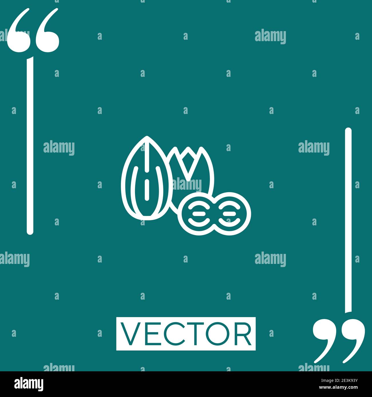 nuts vector icon Linear icon. Editable stroke line Stock Vector