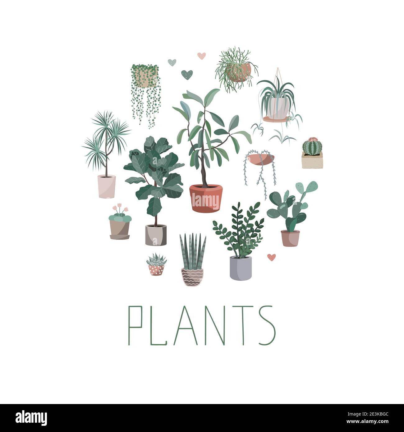 House plants arranged in circle, vector hand drawn illustration Cute homeplant pots, cactuses and succulents. Isolated cartoon item in Scandinavian Stock Vector