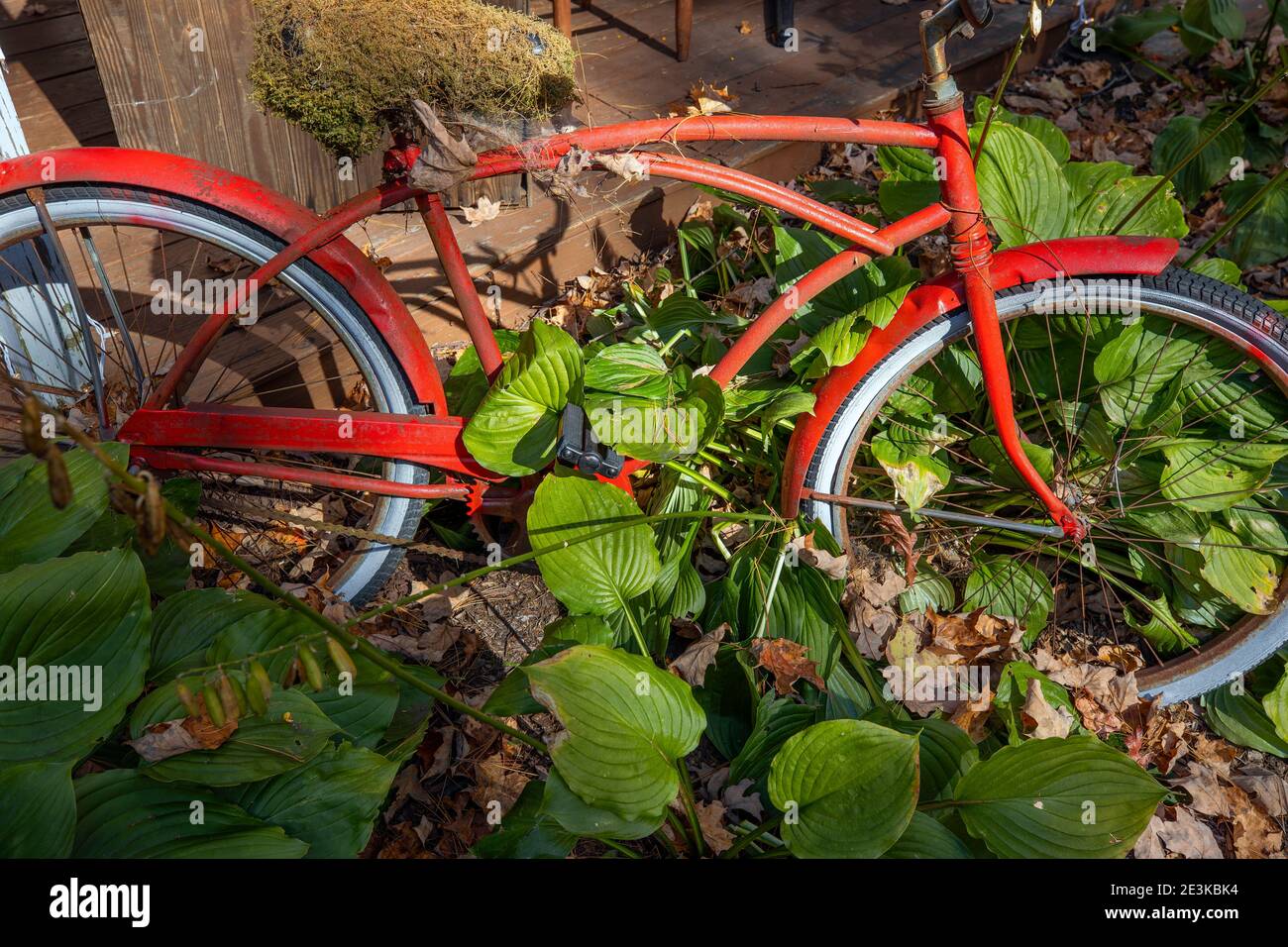 Old red bike hi-res stock photography and images - Alamy