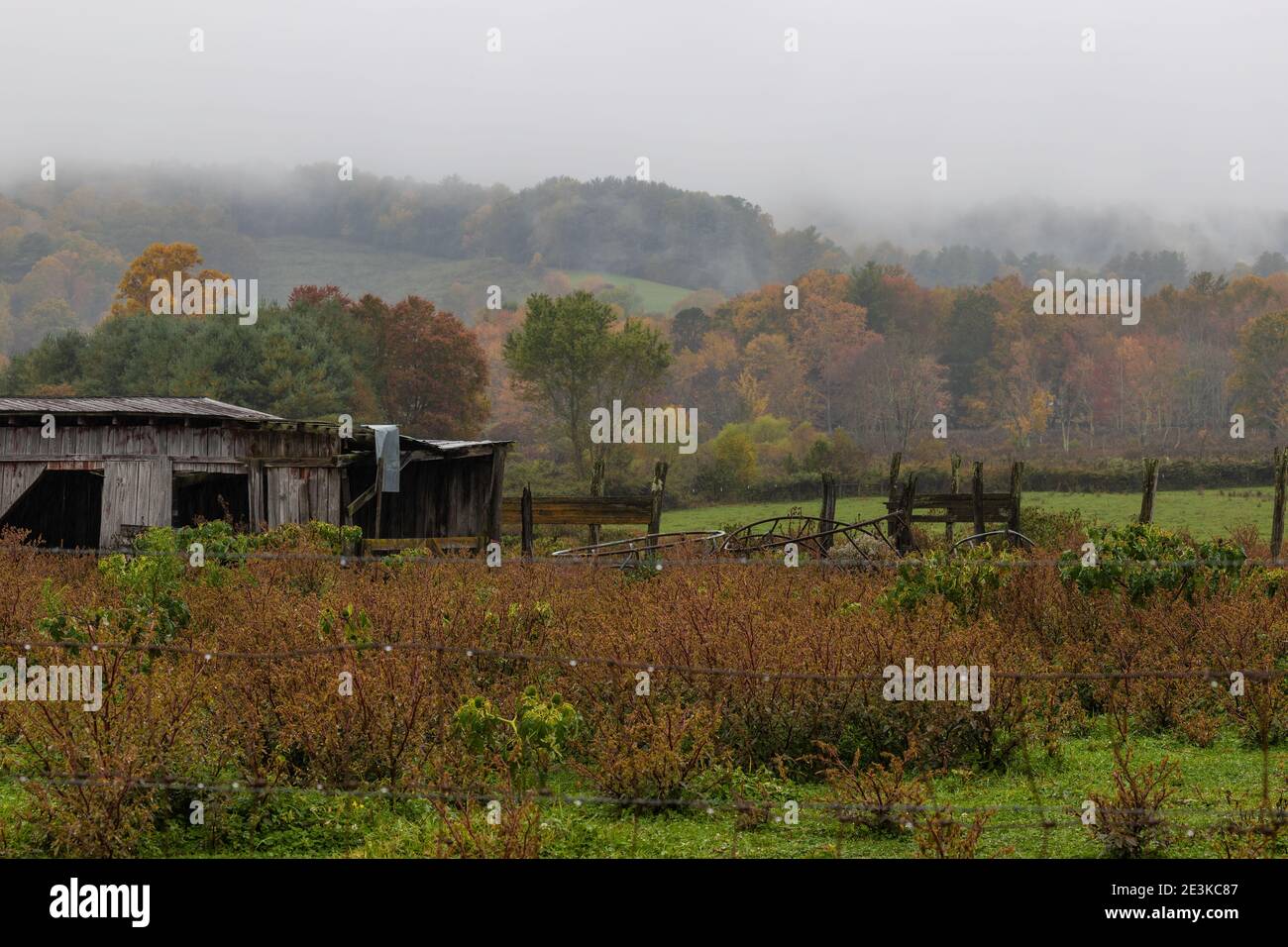 A decaying building sits behind weeds and barbed wired near a autumn colored hillside under cloudy skies Stock Photo