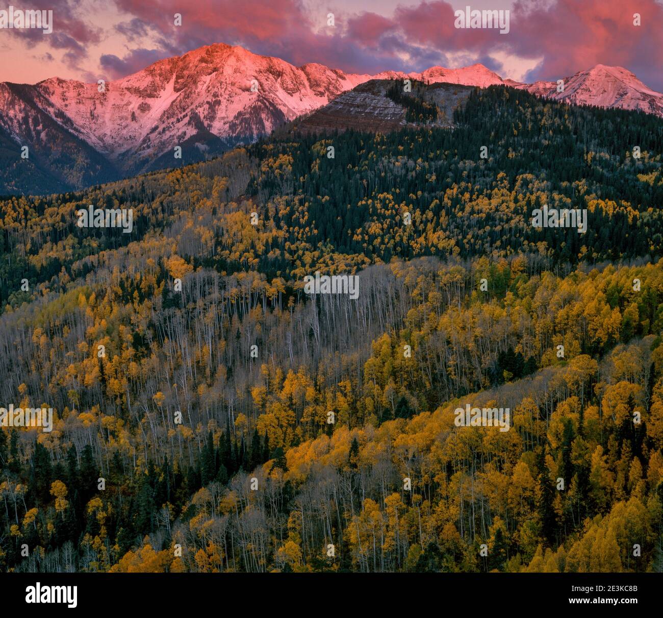 Dawn, Silver Mountain, San Juan National Forest, Colorado Stock Photo