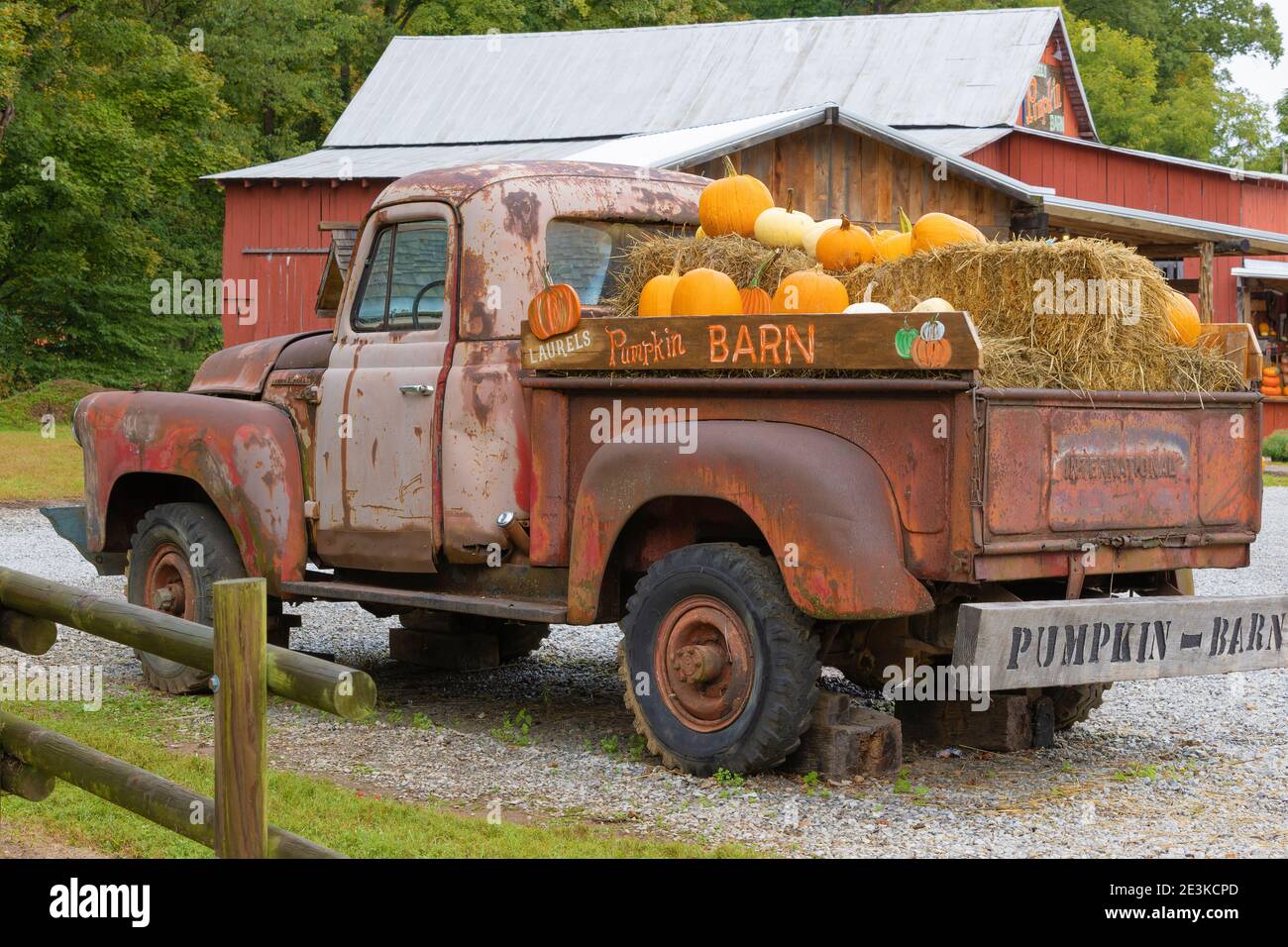 Harvest pumpkins hires stock photography and images Alamy