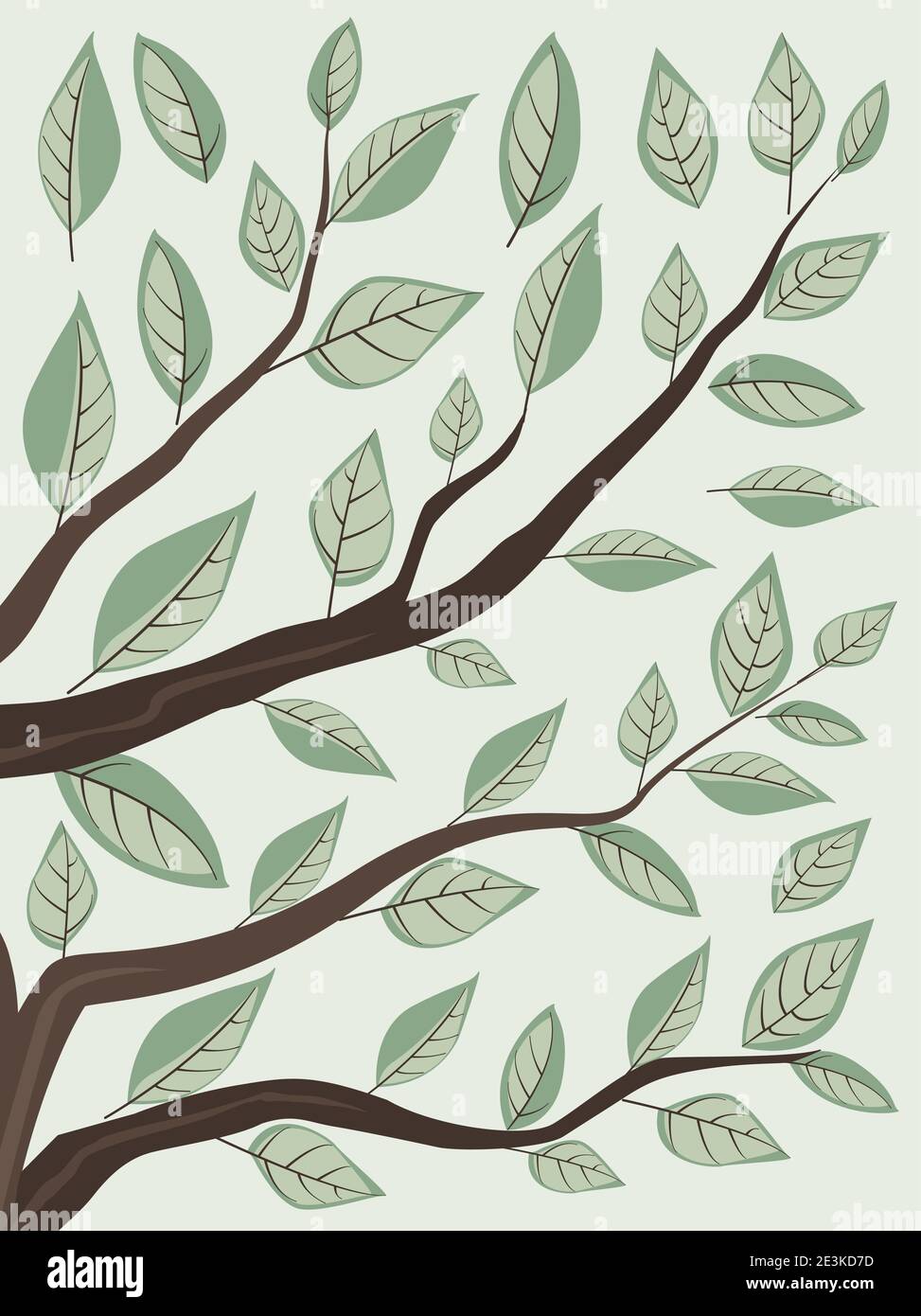 Vector Branches Branches and green leaves Stock Vector Image & Art - Alamy