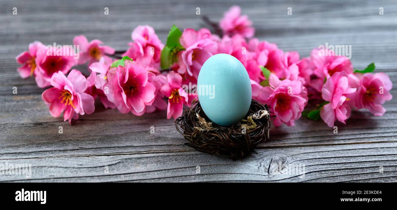 Select focus of a standing blue egg in bird nest with bright springtime ...