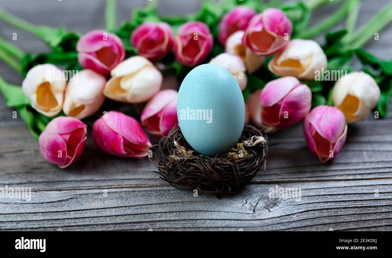 Select focus of a standing egg in nest with springtime tulip flowers and rustic wood in background Stock Photo