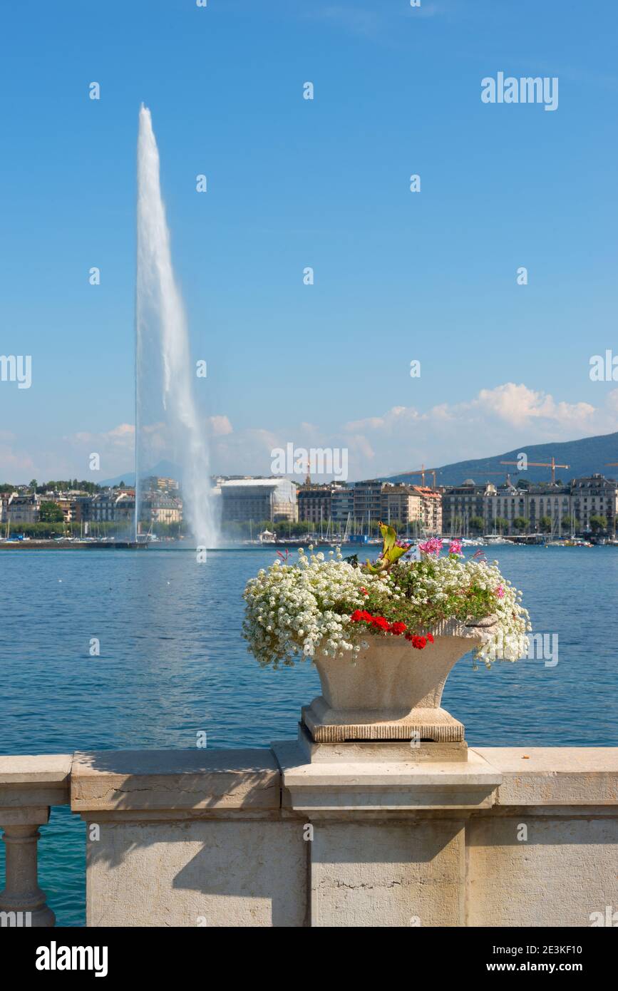 View of Geneva with famous Jet d'Eau fountain on the background and flowers in the front at harbor district at beautiful sunny day, Canton of Geneva, Stock Photo