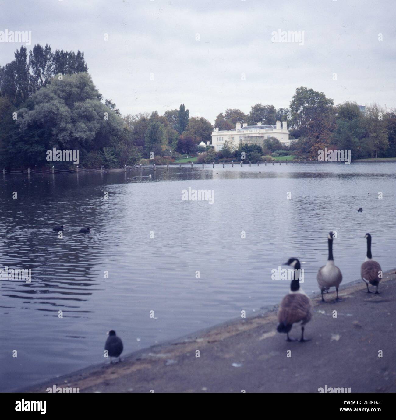 The holme regents park hi-res stock photography and images - Alamy