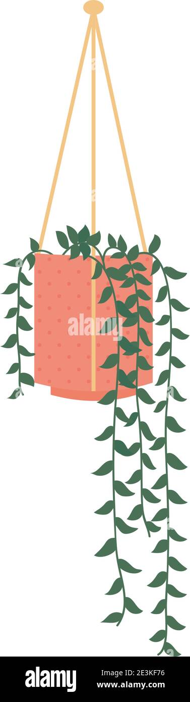 decorative Plant in hanging pot icon over white background, colorful ...
