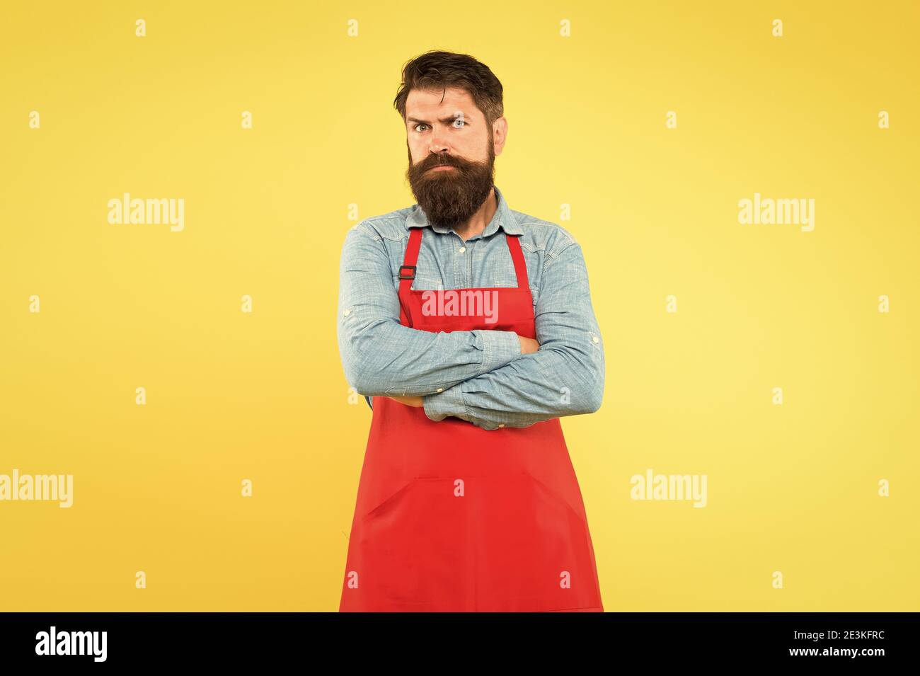 Portrait caucasian barista wearing apron hi-res stock photography and ...