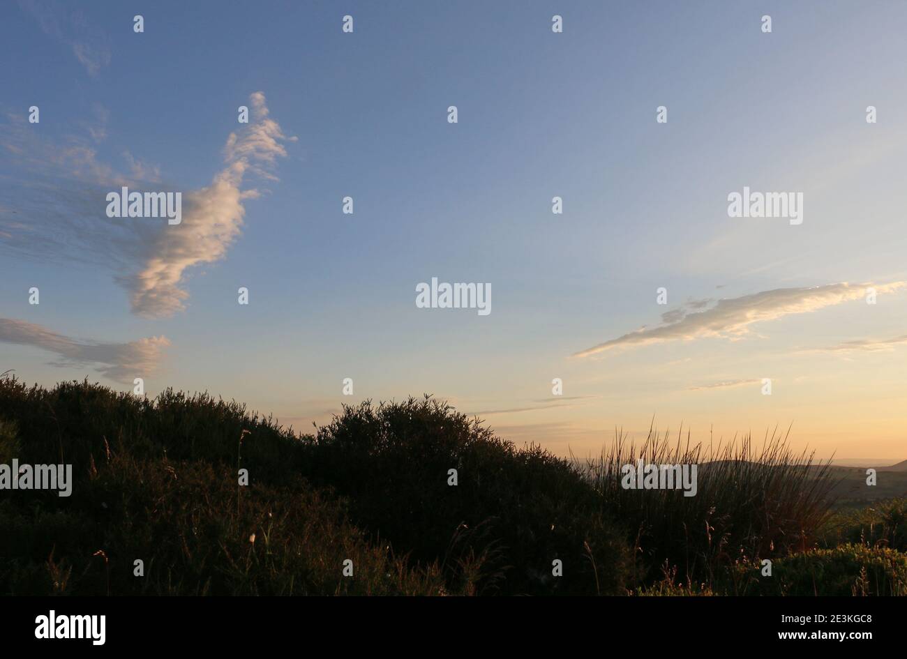 Summer evening wispy cirrus clouds in a blue twilight sky over the Shropshire landscape, UK Stock Photo