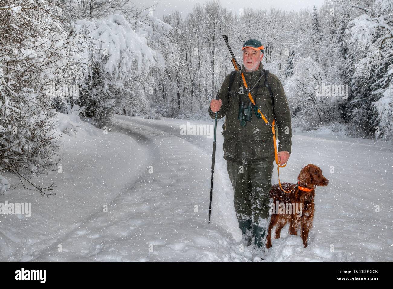 On a cloudy winter's day with snowfall, a hunter with his Irish Setter hunting dog walks in a lane through the snowy winter valley. I Stock Photo