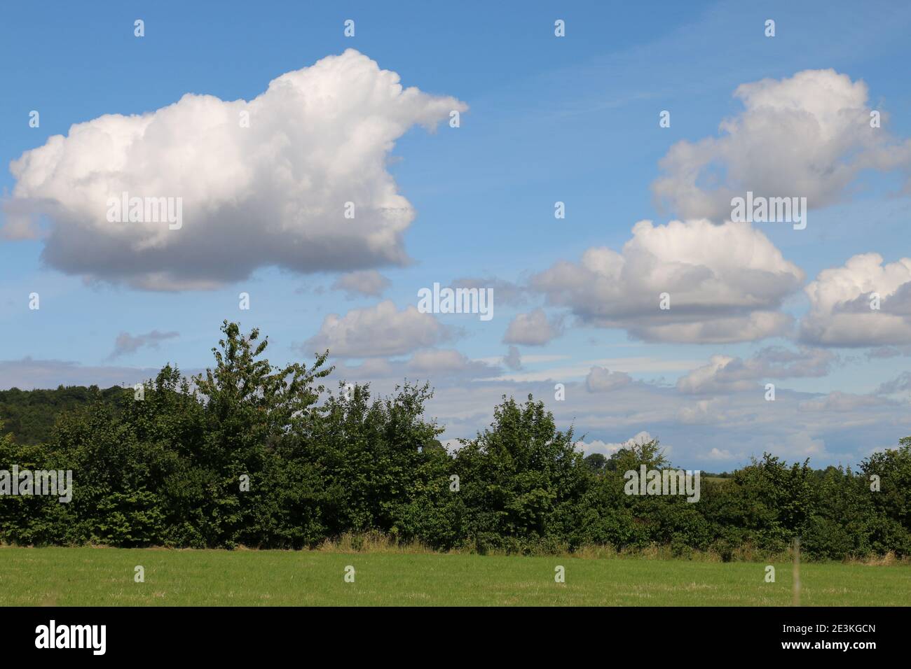 Fluffy white cumulus clouds in a blue summer sky over the Shropshire landscape, UK Stock Photo