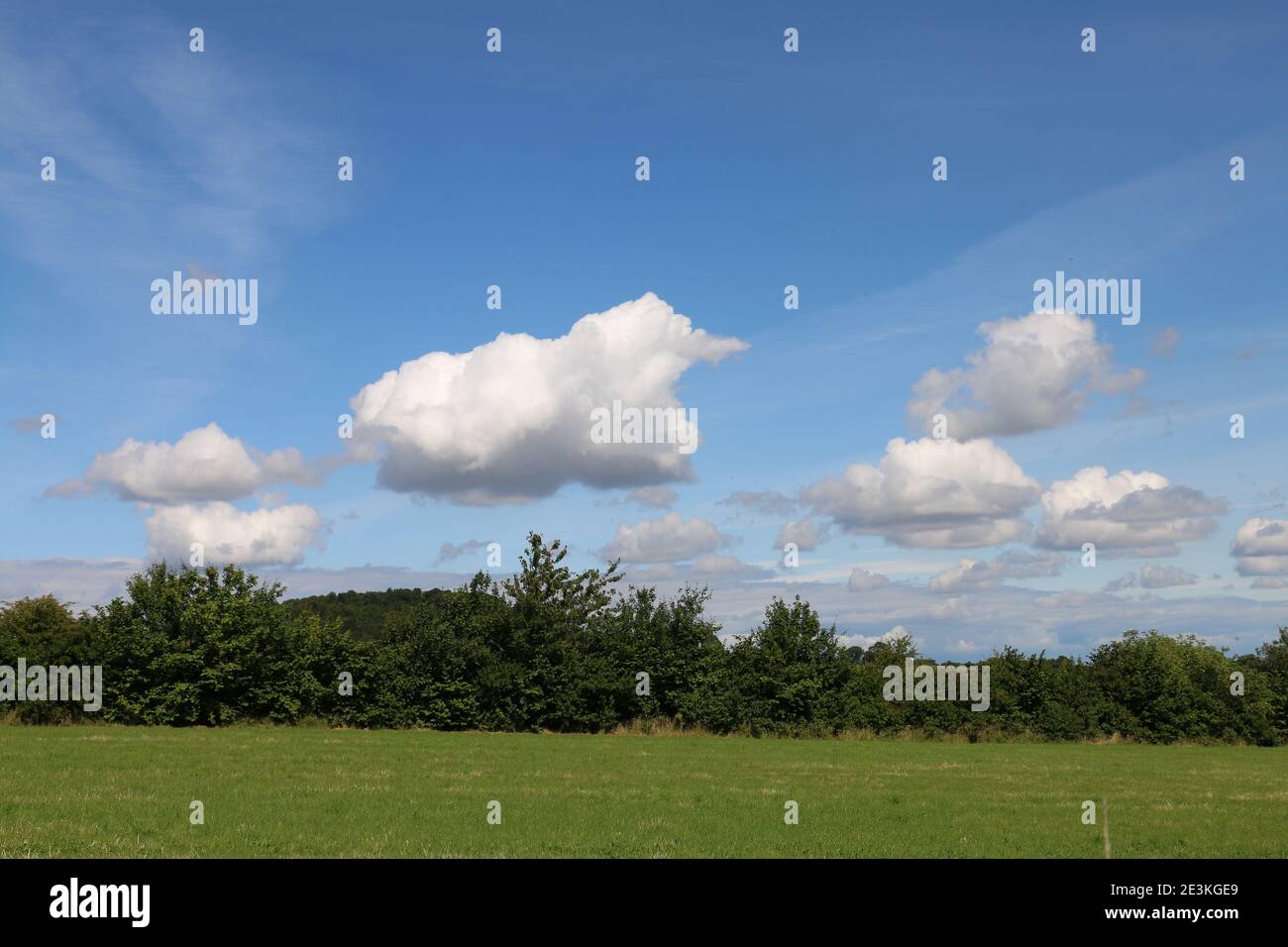 Blue summer sky with fluffy white cumulus clouds over the green Shropshire countryside, UK Stock Photo