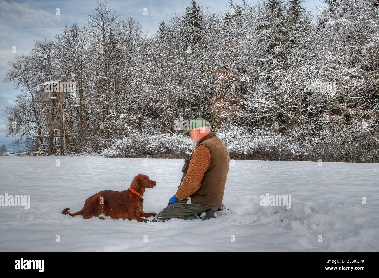 In the snowy Black Forest, a hunter kneels in the snow in front of his large hunting pulpit, in front of him lies his beautiful Irish Setter hunting d Stock Photo