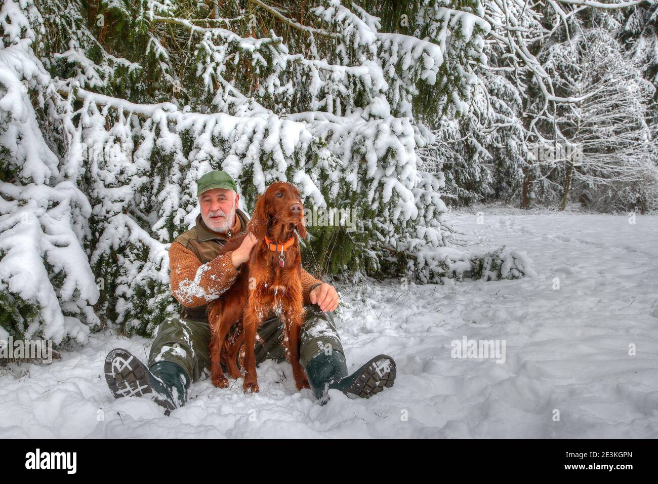 In the snow-covered Black Forest, a hunter sits with his beautiful Irish Setter hunting dog at the edge of the forest in the snow. Stock Photo