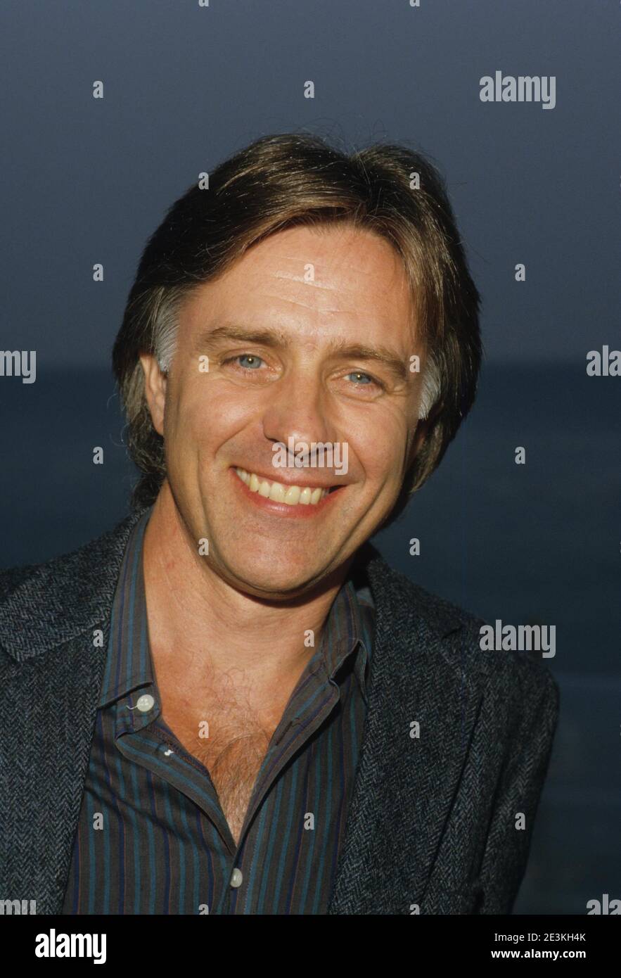 JOEL HIGGINS Credit: Ralph Dominguez/MediaPunch Stock Photo - Alamy