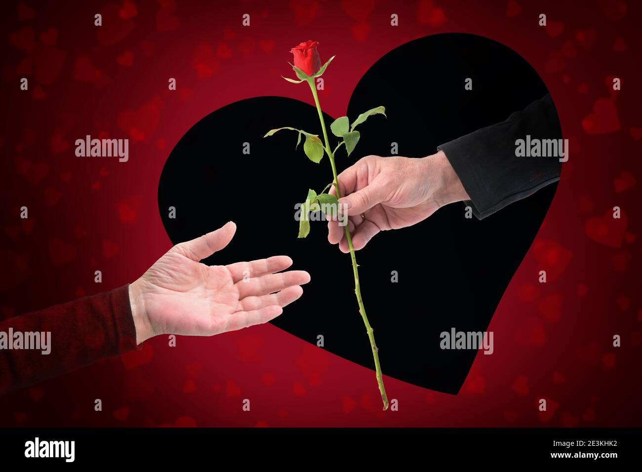 Hand of a man is giving a rose through a heart shaped black hole in a red greeting card to the hand of a woman on Valentines day, love concept Stock Photo